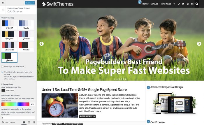 PageSpeed theme review color schemes