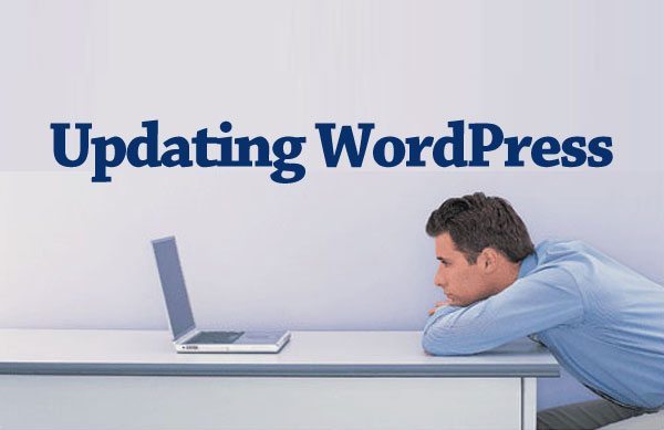 How to Update WordPress through wp-config.php