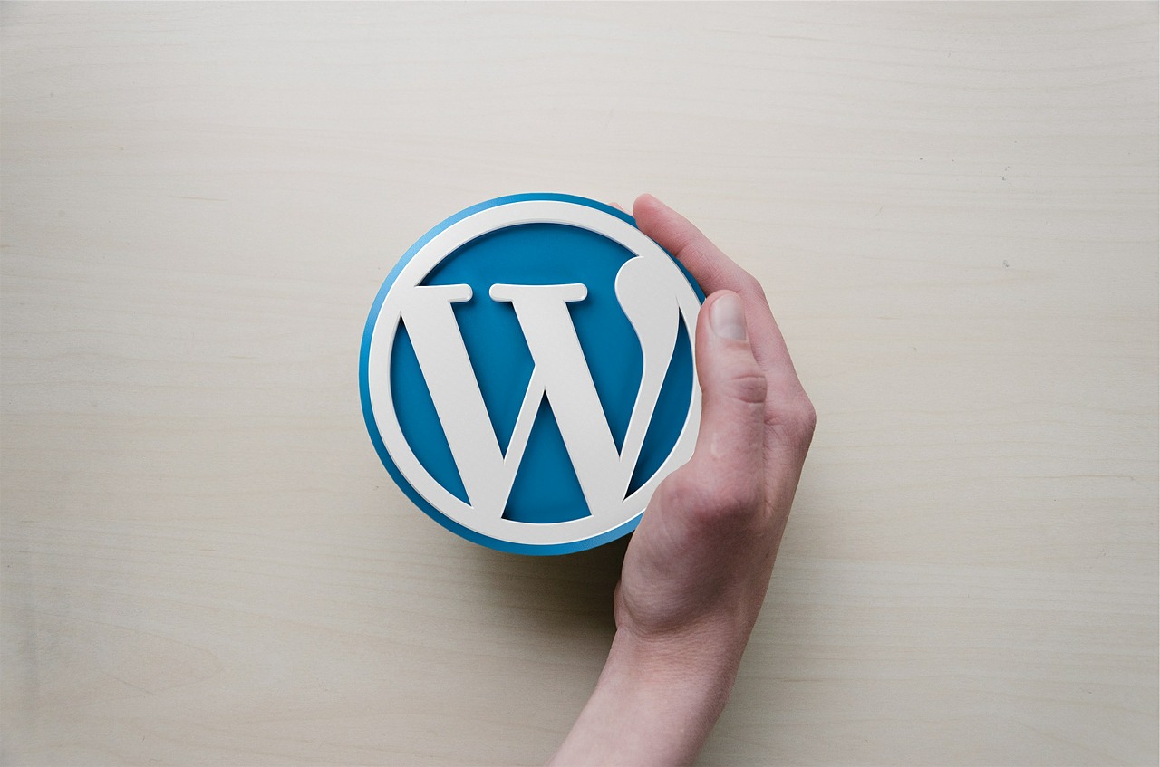 Is WordPress The Best CMS For A Beginner?