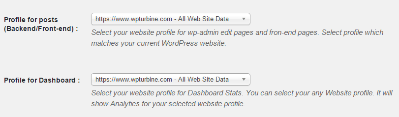 Choose Website Profile - Analytify
