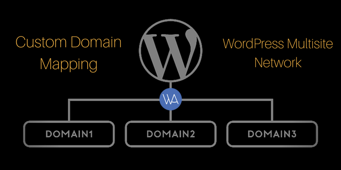 How To Do Custom Domain Mapping in WordPress Multisite Network