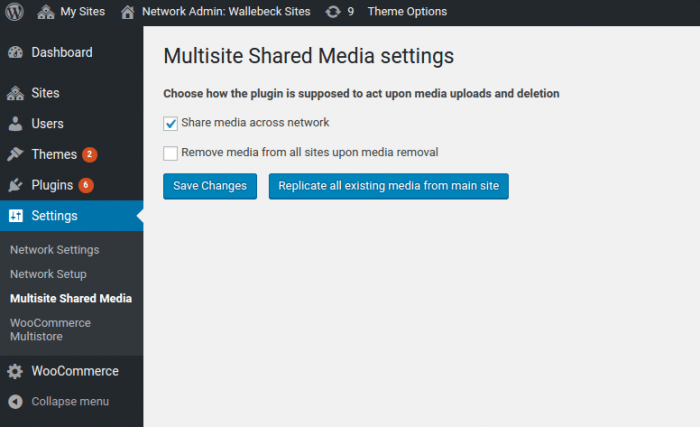 msm-settings-page