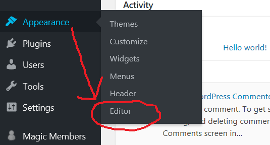 WordPress Theme Editor