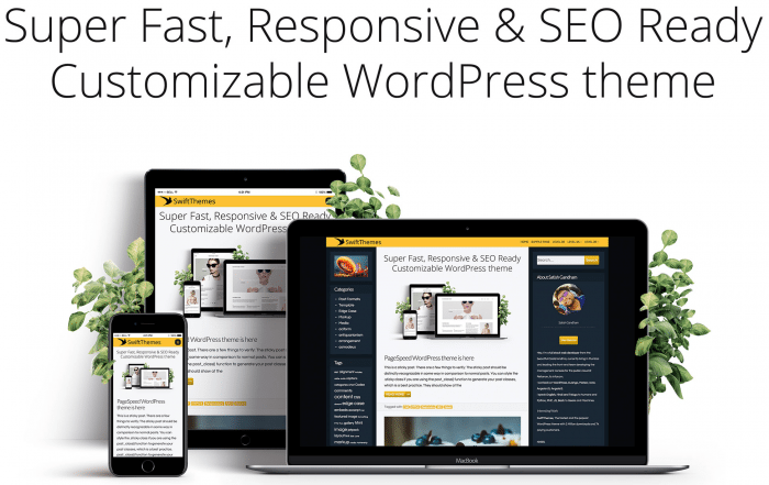 PageSpeed Responsive Theme
