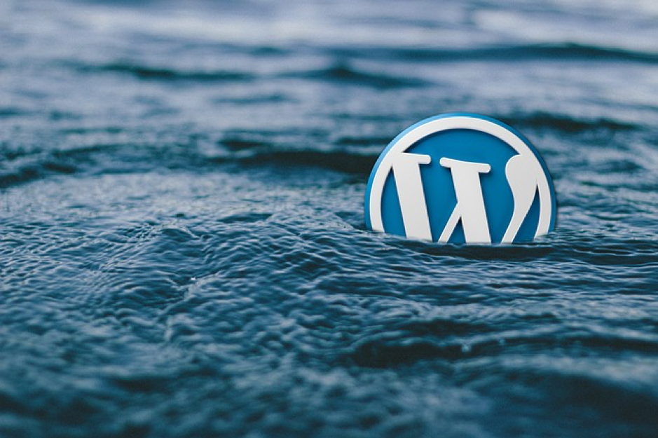 Ways to Make your WordPress site More Professional